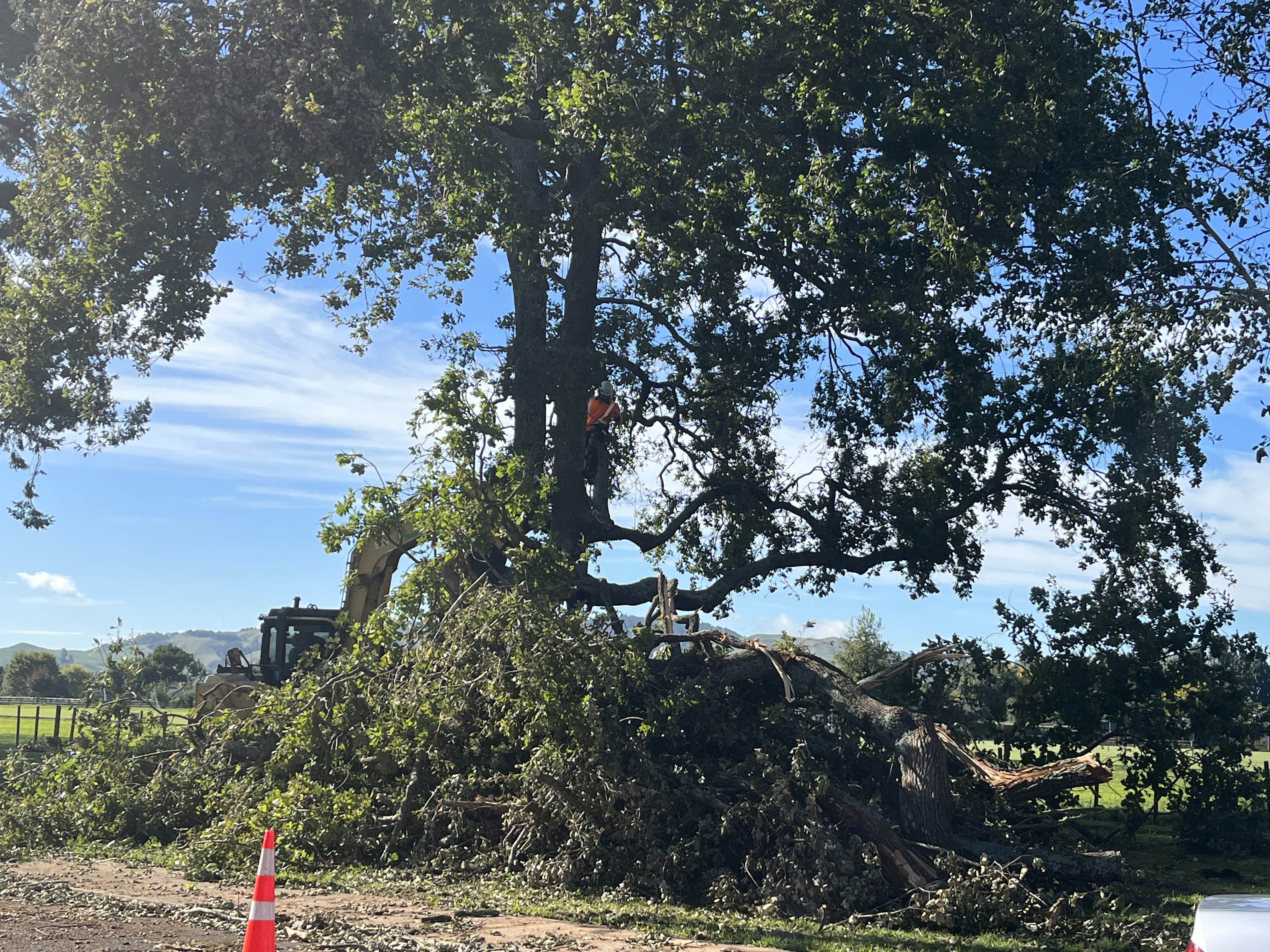 Treescape cleaning up in Cambridge after Cyclone Gabrielle.