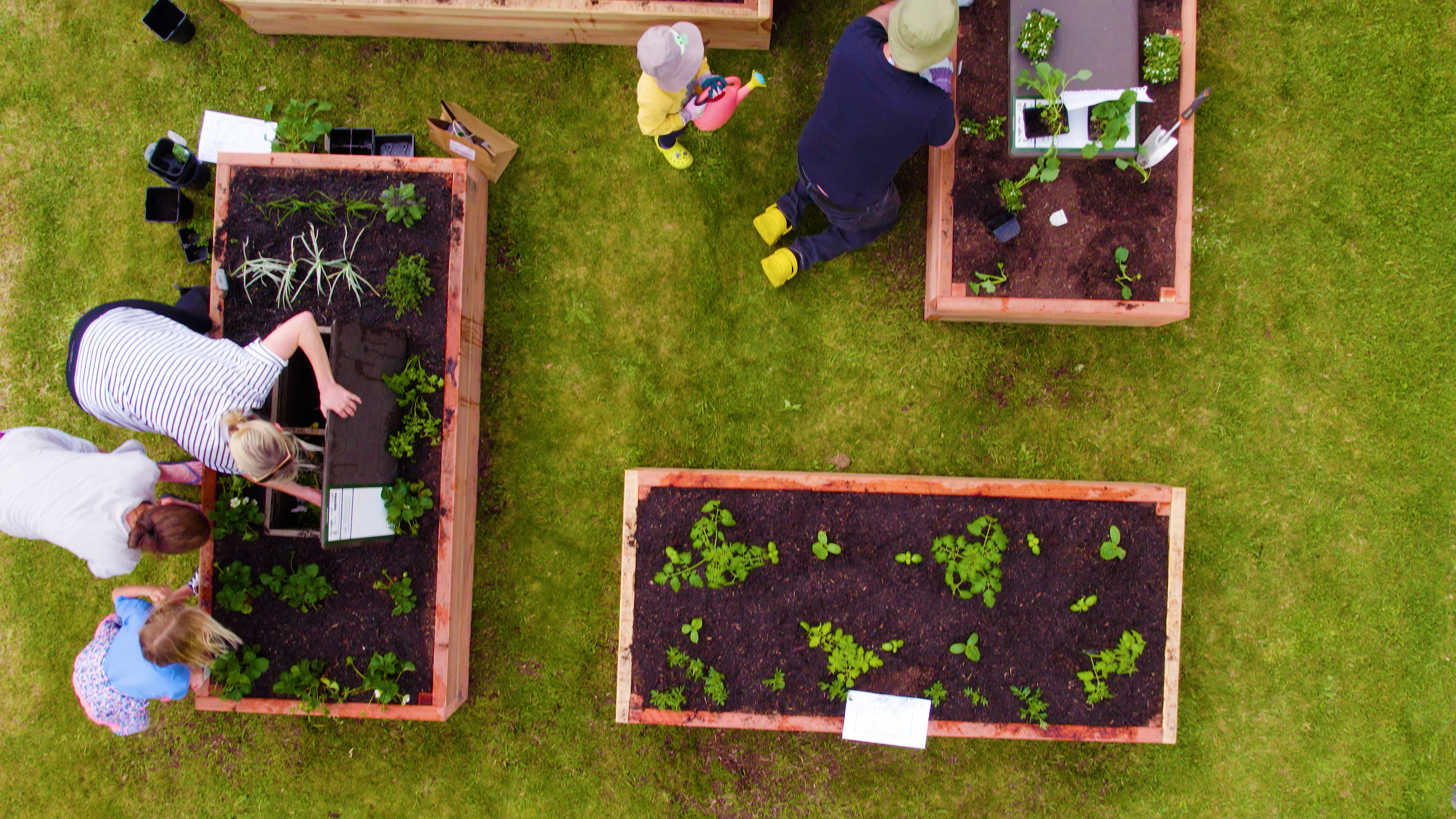 ​ Keen community members get stuck in planting neighbourhood gardens. 
