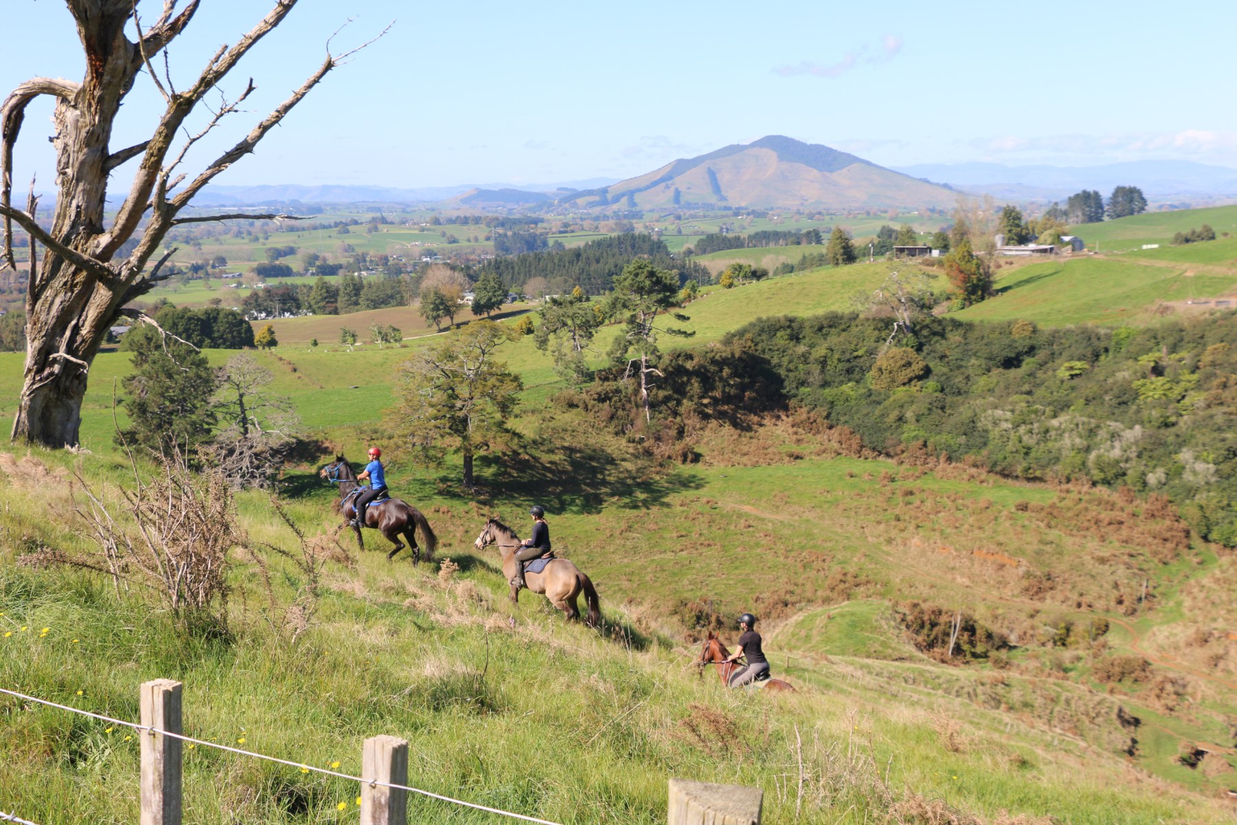 Sainsbury Road Reserve is set to reopen this weekend.