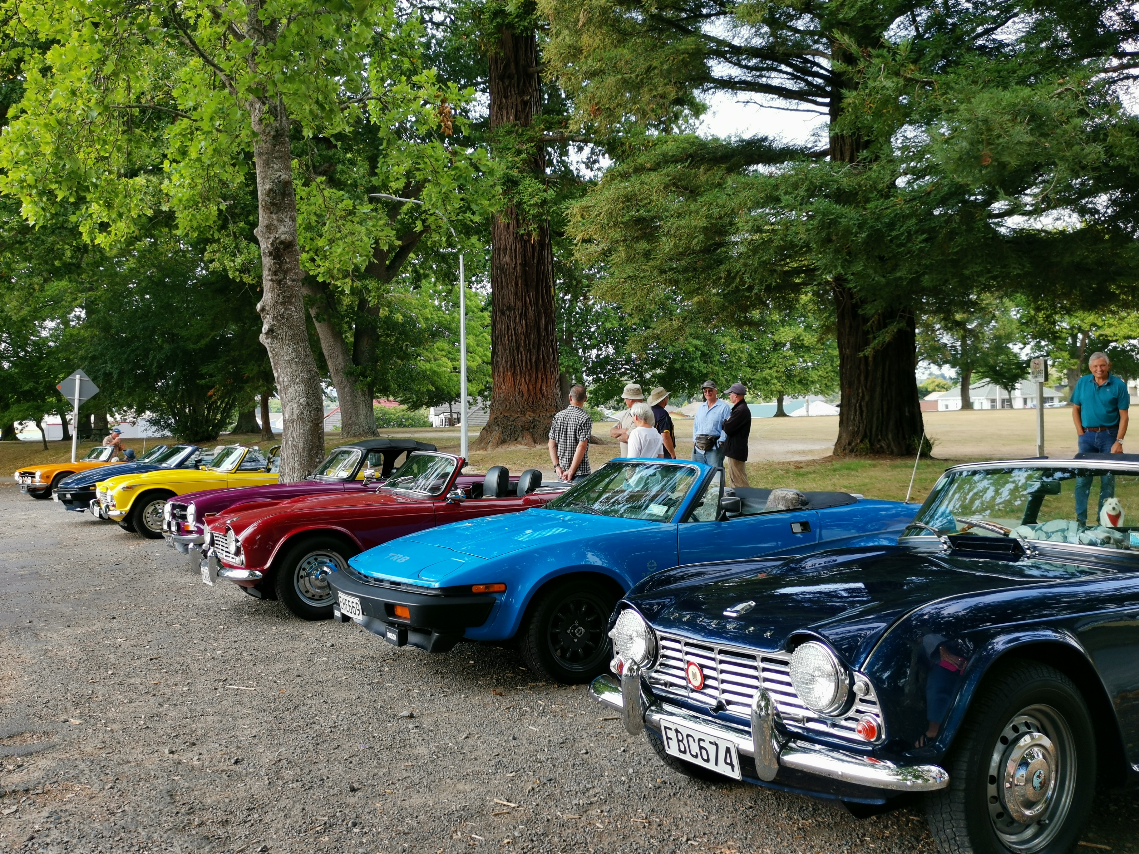 Triumph Roadsters parked up by Victoria Park in Cambridge. The cars will return to Waipa in February next year.