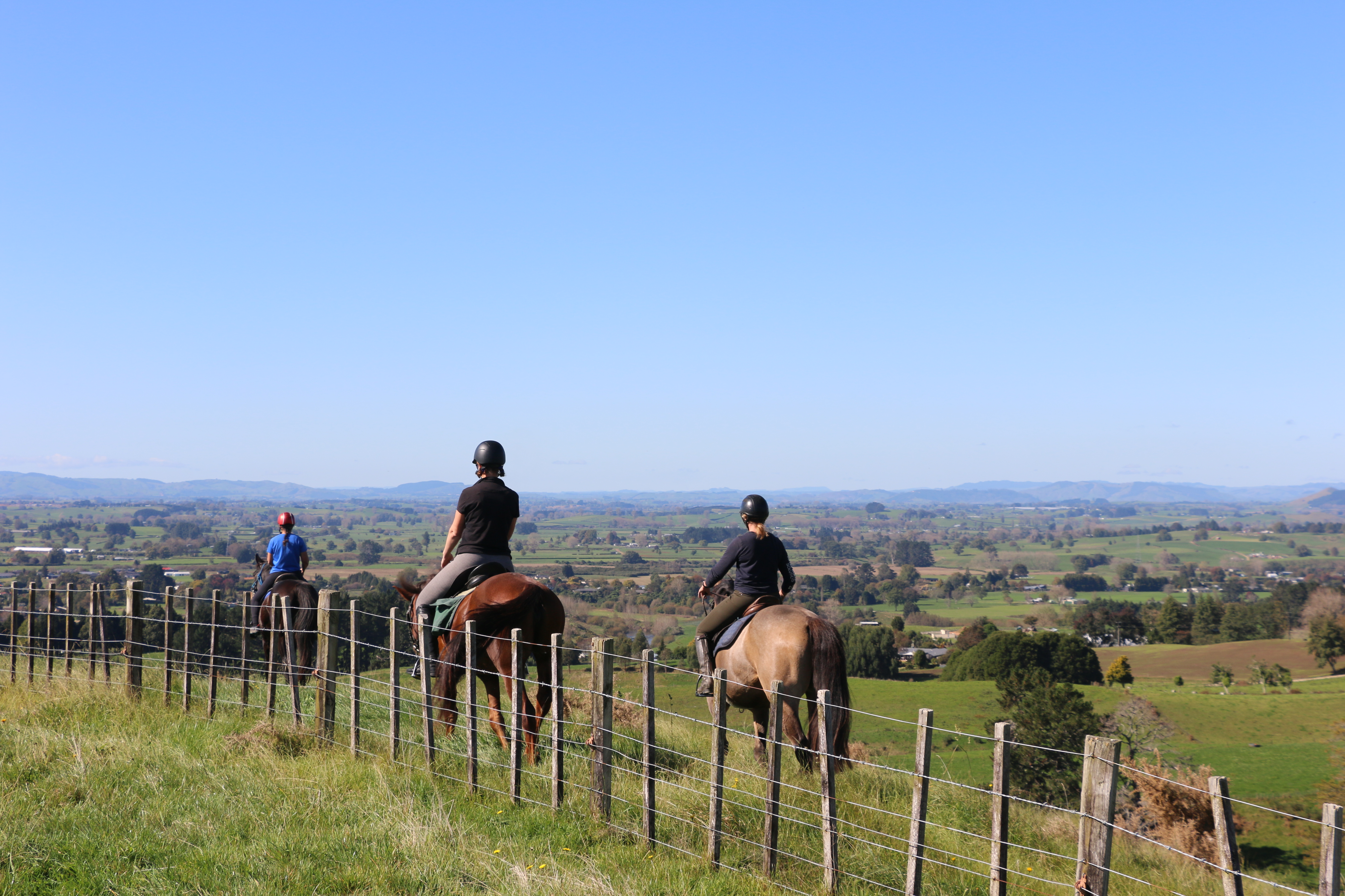 Members of the Pirongia Horse Riders club at the reserve on Sainsbury Road, Pirongia.