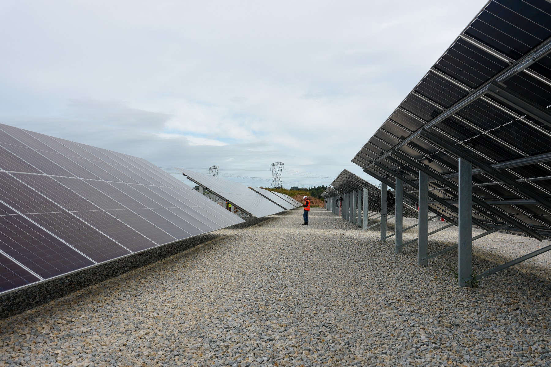 Solar farm at Cambridge’s wastewater treatment plant